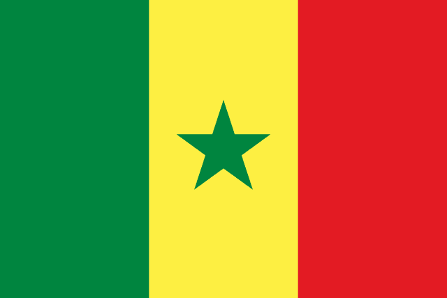 SEN flag