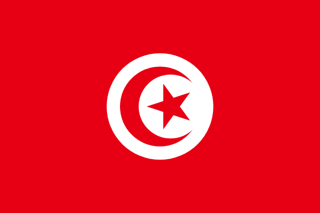 TUN flag